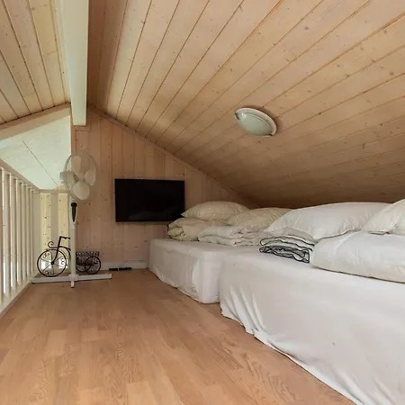 15 Person In Semesterbostad Højslev